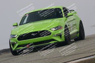 media/Nov-21-2025-Audi Club (Fri) [[8110d52e1e]]/Open Track Photos/3 Grapevine/